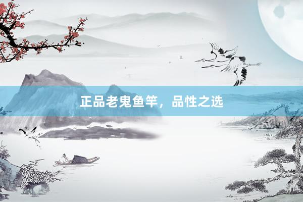 正品老鬼鱼竿，品性之选